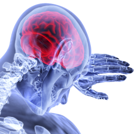 Image of brain
