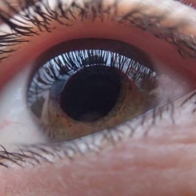 Close up of the eyeball