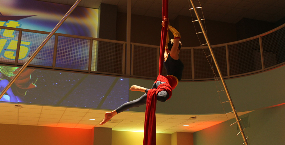 Arial silk artist
