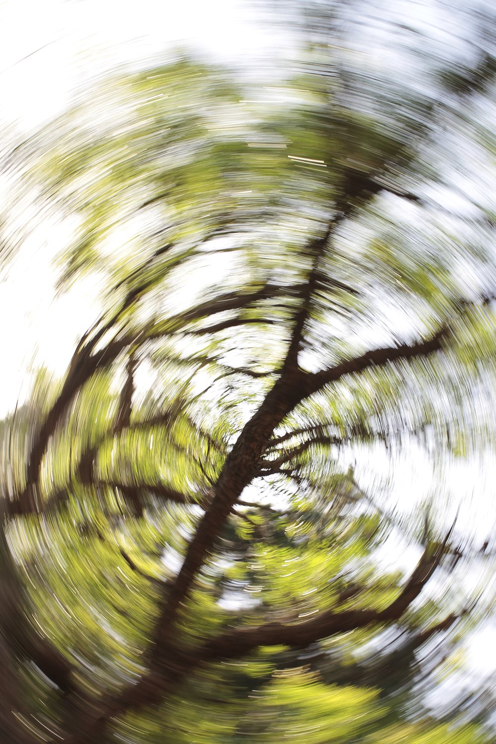 Dizziness and Balance: Five Things to Know About Vertigo